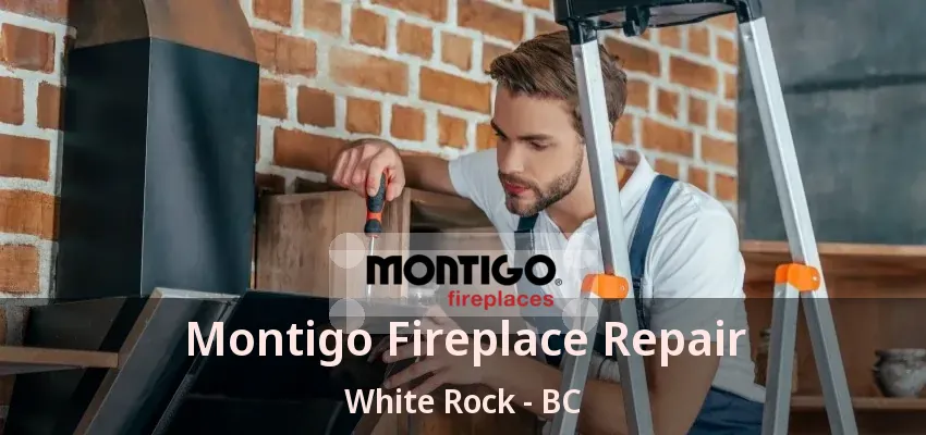 Montigo Fireplace Repair White Rock - BC Montigo Fireplace Repair White Rock - BC