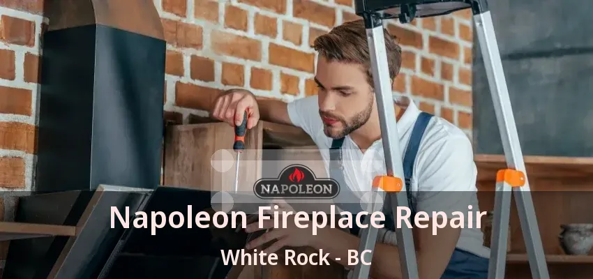 Napoleon Fireplace Repair White Rock - BC Napoleon Fireplace Repair White Rock - BC